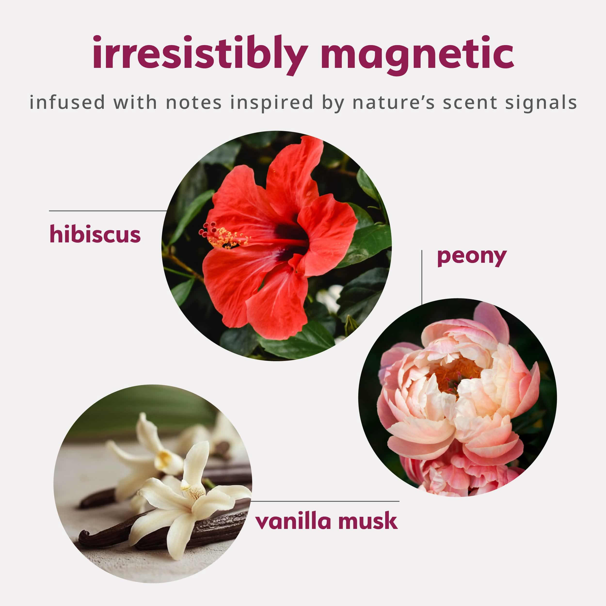 Pheromone Inspired Perfume Oil – Floral Vanilla Musk - Image 3