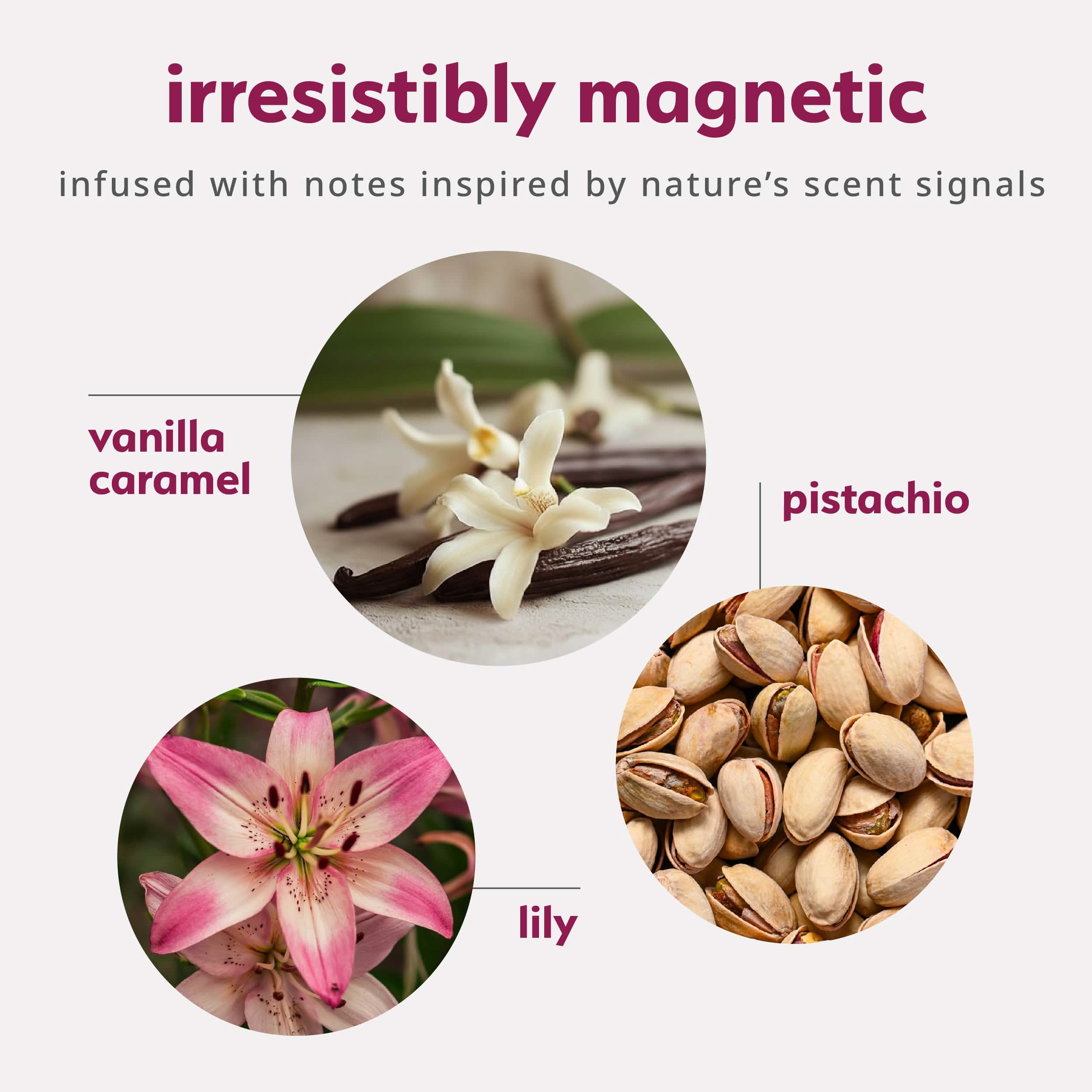 Pheromone Inspired Perfume Oil – Amber Gourmand - Image 3