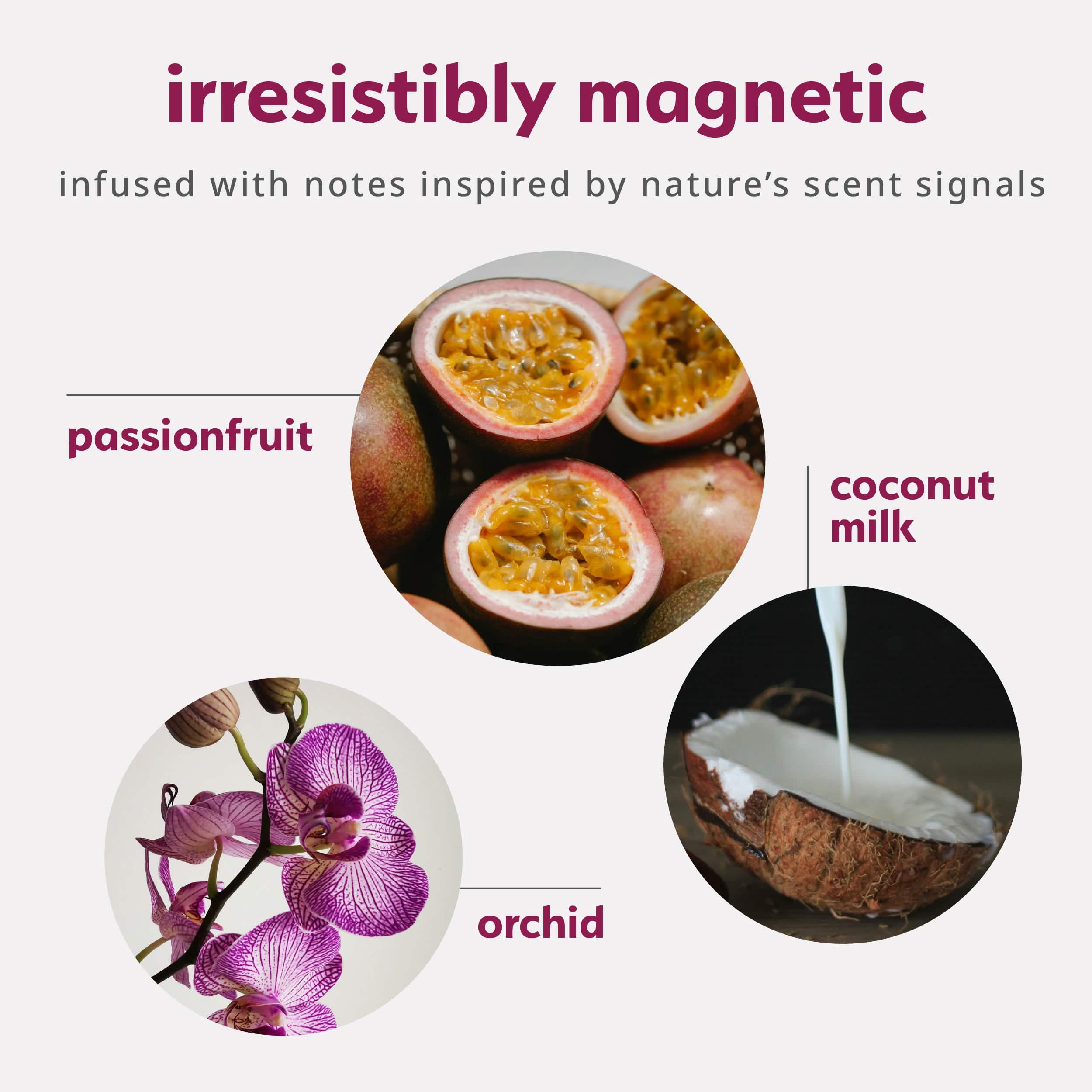 Pheromone Inspired Perfume Oil – Tropical Fruity Floral - Image 3